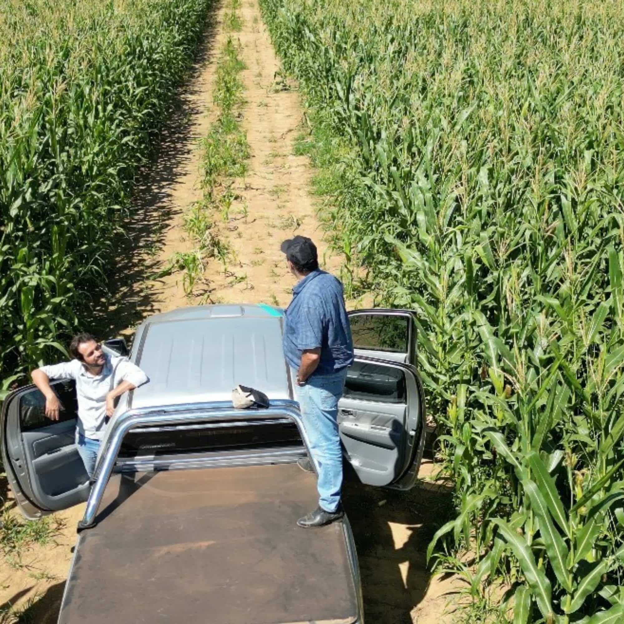 Comparação de Raízes